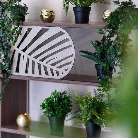 Amazonia Flat 102 * לרנקה